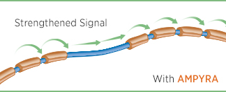 Mechanism of Action: AMPYRA may help strengthen nerve signals to coordinate walking